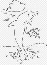 Delfin Ausmalbild Ausmalbilder Delfine Mewarnai Delphin Lumba Hai Hewan Kinderbilder Malbuch Cetacea Malvorlage Innen Oceanic Ikan Pferd Hiu Malen Tiere sketch template