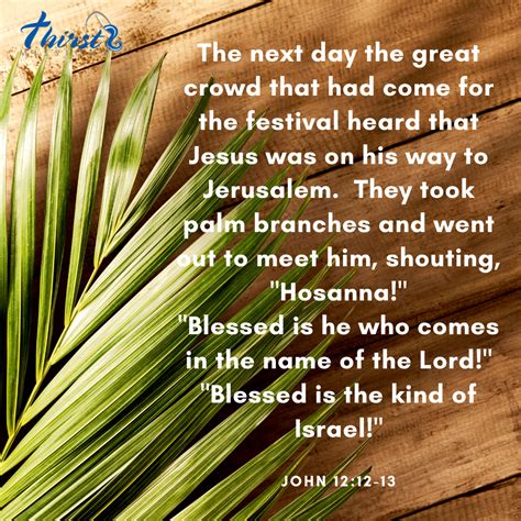 palm sunday blessed          lord