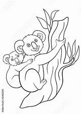 Koala Baby Coloring Pages Mother Cute Little Her Comp Contents Similar Search sketch template