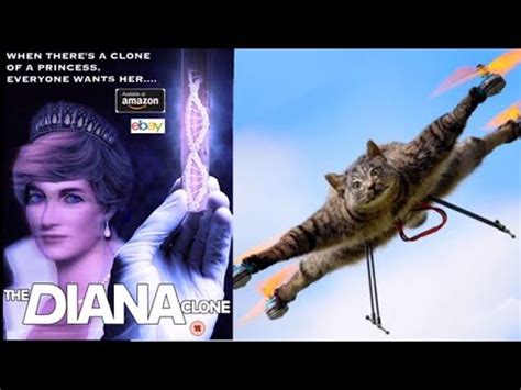 flying stuffed helicopter drone cat  edit youtube