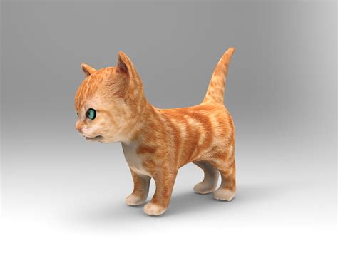 Cute Cat Animation 3d Model Turbosquid 1217230
