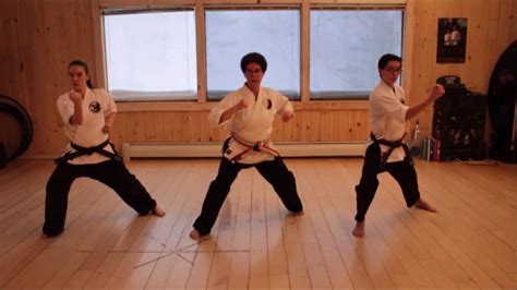 blizzard karate class with renshi lisa snow day 2 youtube