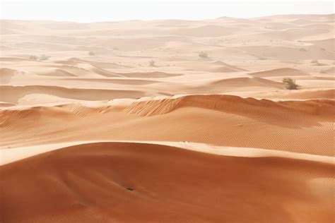 desert sand pictures   images  unsplash