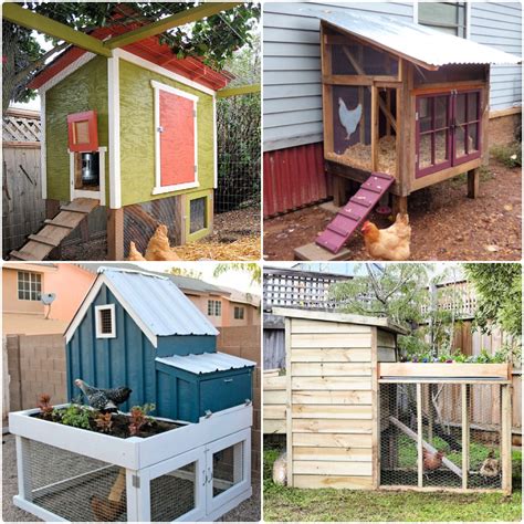 diy chicken coop plans  beginners  build