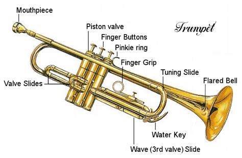 trumpet musicalhelporg