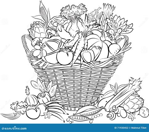 vegetables basket stock vector illustration  bean
