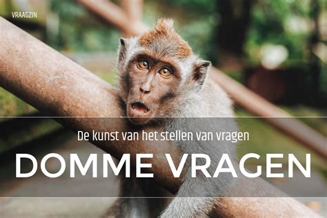 domme vragen stellen uitleg en voorbeelden