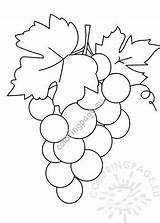 Grapes Bunch Coloringpage sketch template