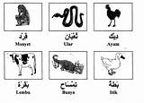 Arab Haiwan Nama sketch template