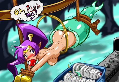 Image 2577347 Jim Sugomi Shantae Shantae Series Hook Maiden