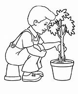 Tree Cartoon Drawing Plantation Clipart Coloring Trees Easy Plant Kids Arbor Drawings Getdrawings Library sketch template