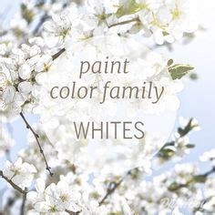 paint color family whites