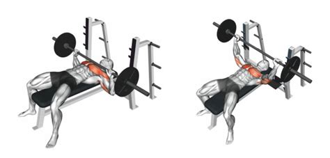 barbell bench press chest workout strengthbuzz
