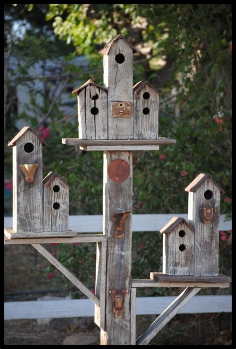 gorgeous  unique birdhouse designs