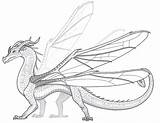 Hybrid Hivewing Leafwing Nightwing Icewing Psd F2u Deviantart sketch template