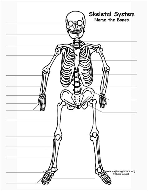 skeleton labeling page