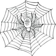 spider  coloring pages spider coloring page adult coloring pages