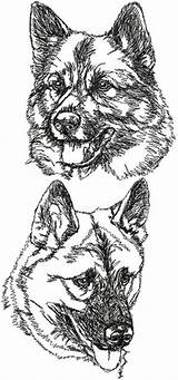 Norwegian Elkhound Embroidery Designs Set Advanced Dog Machine Coloring Pages Choose Board Also sketch template