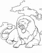 Lion Kids Coloring Korner Pages Animals Enterprises Yawn Dmg Provided Sized Network sketch template