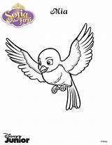 Disney Mia Hellokids Bluebird Pajaro Oiseau Princesse Imprimir Designlooter Ausmalbild Coloriage Bacheca Imprimer sketch template
