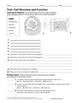 life science test cell structure  function printable