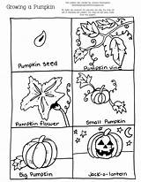 Pumpkin Sequencing Worksheets Growth Halloween Preschool Little Unit Time Growing Fall Life Sheet Green Gene Kids Pumpkins Kindergarten Bean Story sketch template