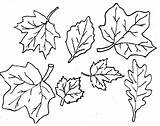 Leaves Coloring Pile Pages Getdrawings Fall sketch template