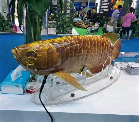 real fish     coolest underwater drones