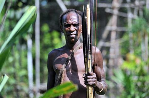 suku korowai penduduk asal papua rumah pohon tertinggi dailysia