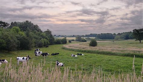 rural sunrise  photo  freeimages