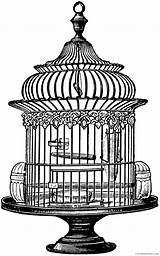 Coloring4free Birdcage sketch template
