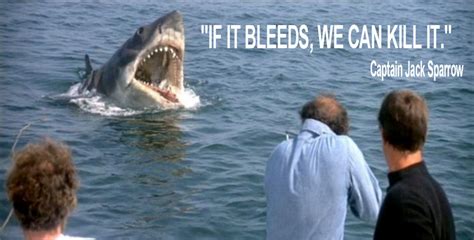 jaws troll quotes   meme