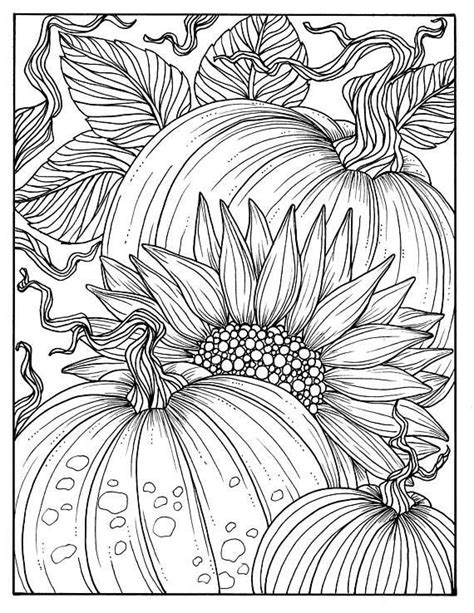 pumpkins  sunflower digital coloring page fall adult coloring digi