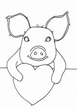 Piggy Dearie Digi Stamps sketch template