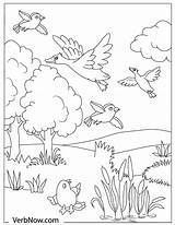 Flock Verbnow sketch template