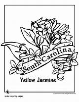 Carolina Coloring State Flower South Pages North Symbols Printable Getcolorings Print Connecticut Kids Color Getdrawings Template Popular sketch template