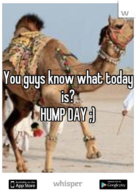84 best humpday images on pinterest ha ha funny images