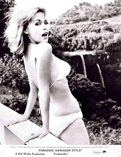 Marianna Hill Classic Actresses Bikinis Hollywood