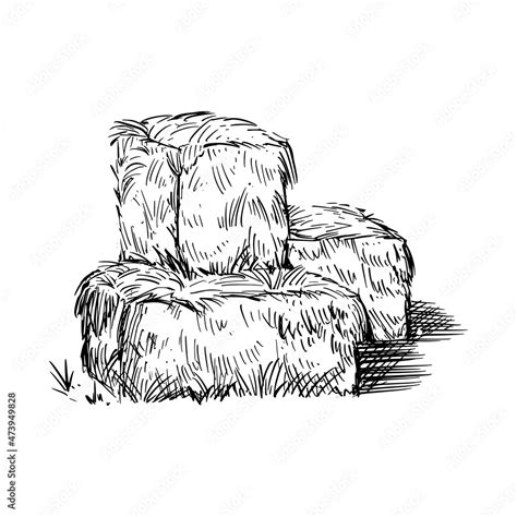 hay bale farm drawing sketch hand drawn haystack isolated vector