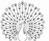 Peacock Coloring Drawing Colouring Pages Outline Colour Feather Eagle Drawings Fan Crown Prince Peacocks Wallpaper Pencil Birds Easy Color Printable sketch template