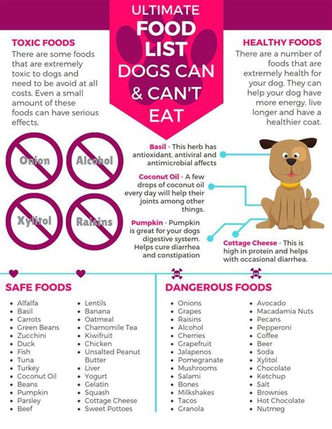 printable list  toxic foods  dogs printable word searches