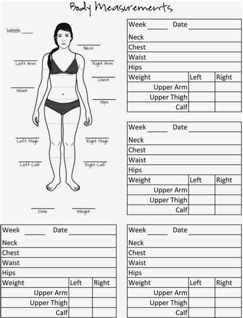 womens printable body measurement chart