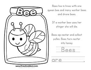color learn bug worksheets preschool preschool worksheets