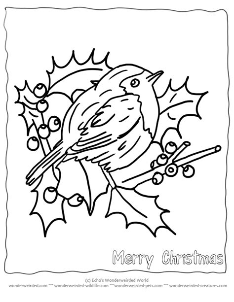 printable christmas coloring pages birds echos christmas birds