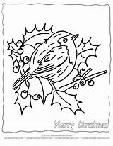 Coloring Robin Brandmalerei Malvorlagen Kostenlos Birdie Weihnachtsmalvorlagen sketch template