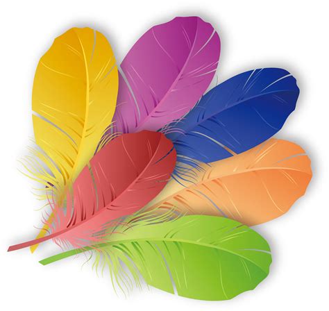 feathers clipart colored feathers colored transparent