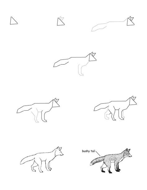 fox drawing sketches cute fox drawing nature drawing