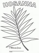 Palm Sunday Coloring Branch School Leaf Kids Template Easter Crafts Pages Drawing Craft Preschool Activities Lesson Children Print Quality High sketch template