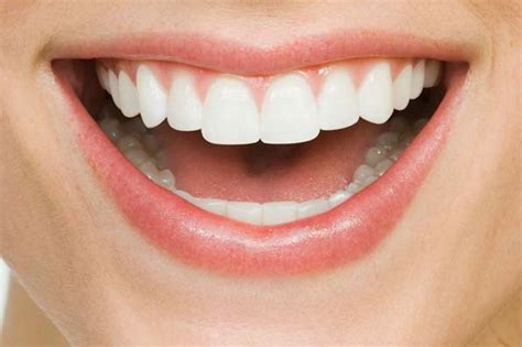 fakta gigi mengenai gigi tentang gigi gigi manusia