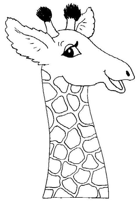 giraffe coloring pages  coloring pages  print giraffe coloring